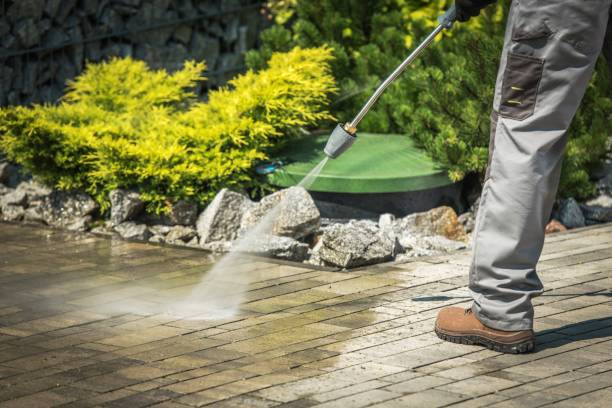Boat and Dock Cleaning in Lake San Marcos, CA